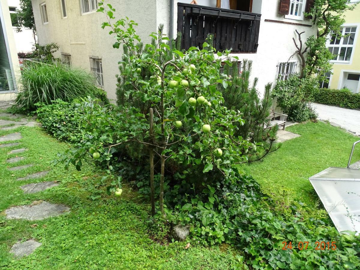 צל-אם-זי Gartenapartment מראה חיצוני תמונה
